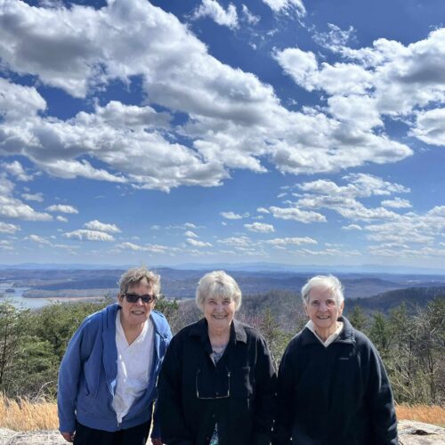 Joanne Beverly Rose Clinch Mountain Overlook