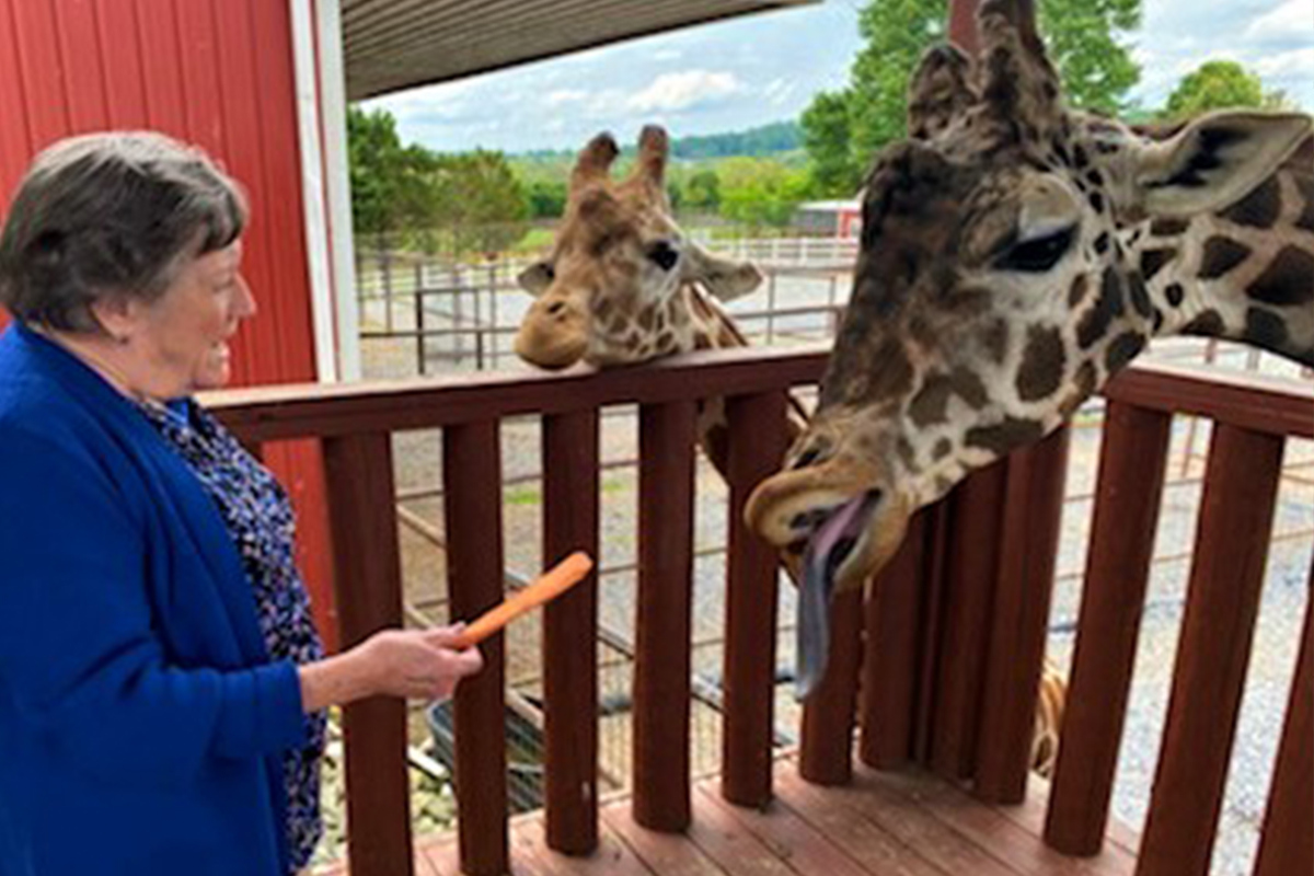 Senior Trip to the Zoo
